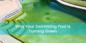 Why Your Swimming Pool Is Turning Green