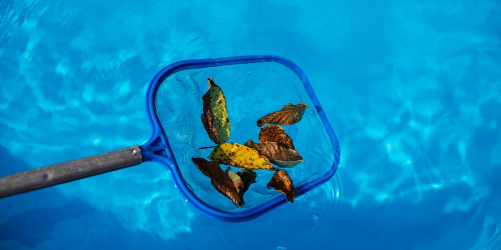 removing leaves from pool by leaf rake 